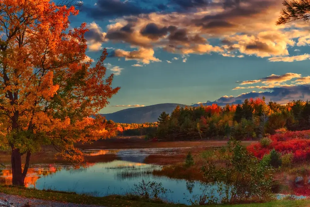 Acadia National Park in Autumn, New England NP - Lake with Autumn Trees