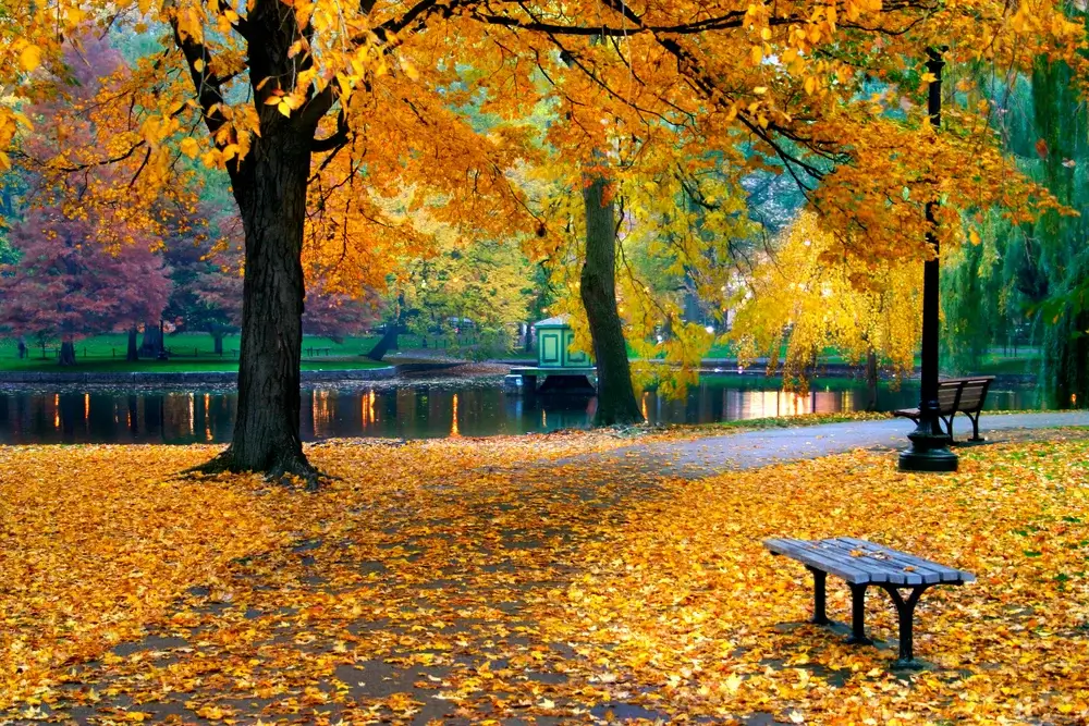 Autumn colours in Boston, Massachusetts, USA New England