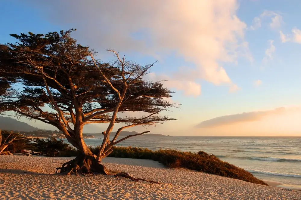 Main Beach in Carmel by the Sea, California, USA