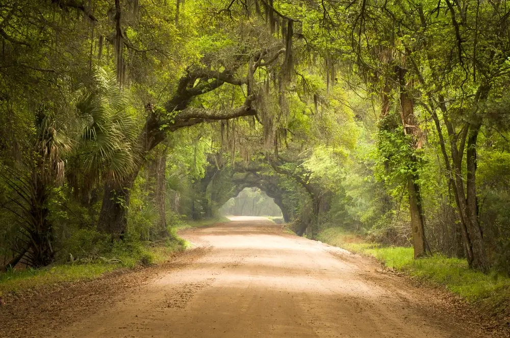 Charleston, South Carolina, USA