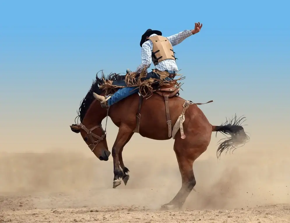 Cowboy in Dallas, Texas, Deep South USA