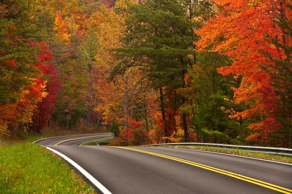 Autumn road, USA road trip