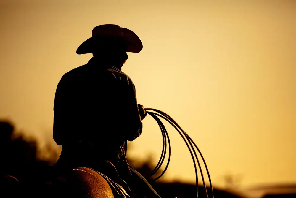 Texas Cowboy