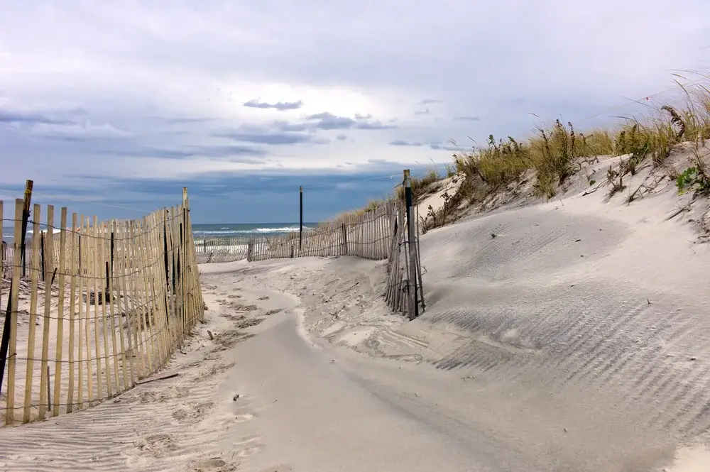 Hamptons, New York, USA - Dunes