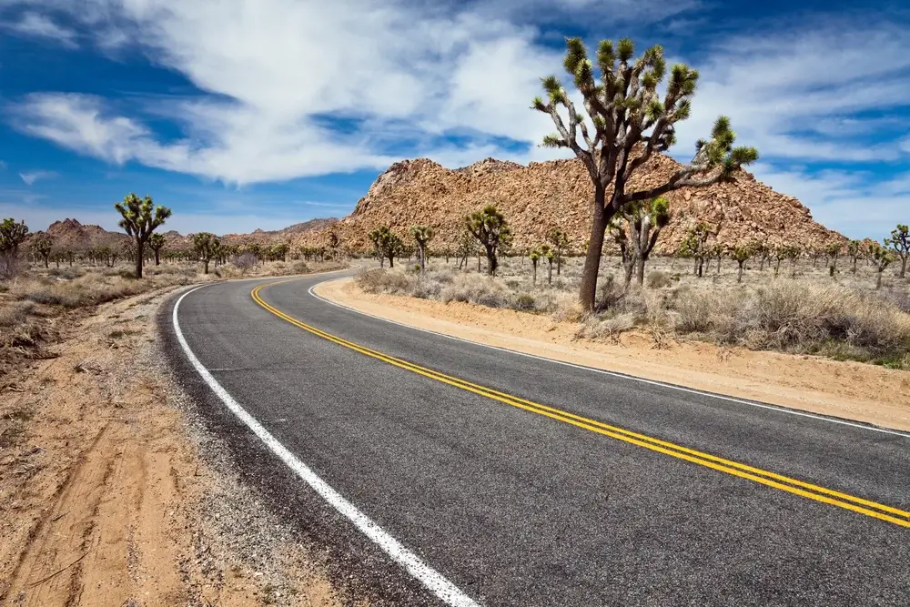 Road though Joshua Tree National Park, California, USA