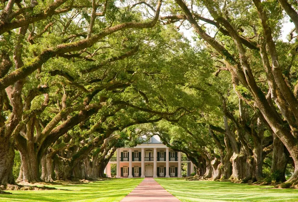 Oak Alley Plantation, Louisiana, USA