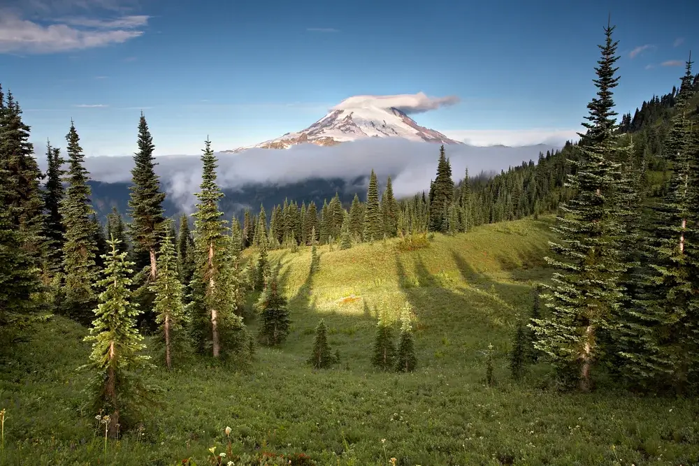 Mount Rainier, Washington, Pacific Northwest, USA