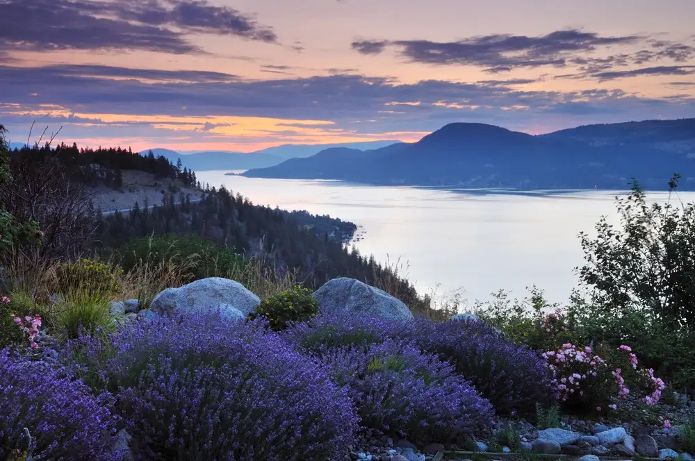 Okanagan lake - Okanagan lake