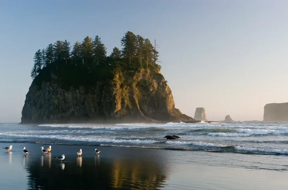 Olympic National Park, Washington, Pacific Northwest USA - Beach