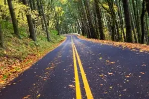 Oregon - Road in autumn