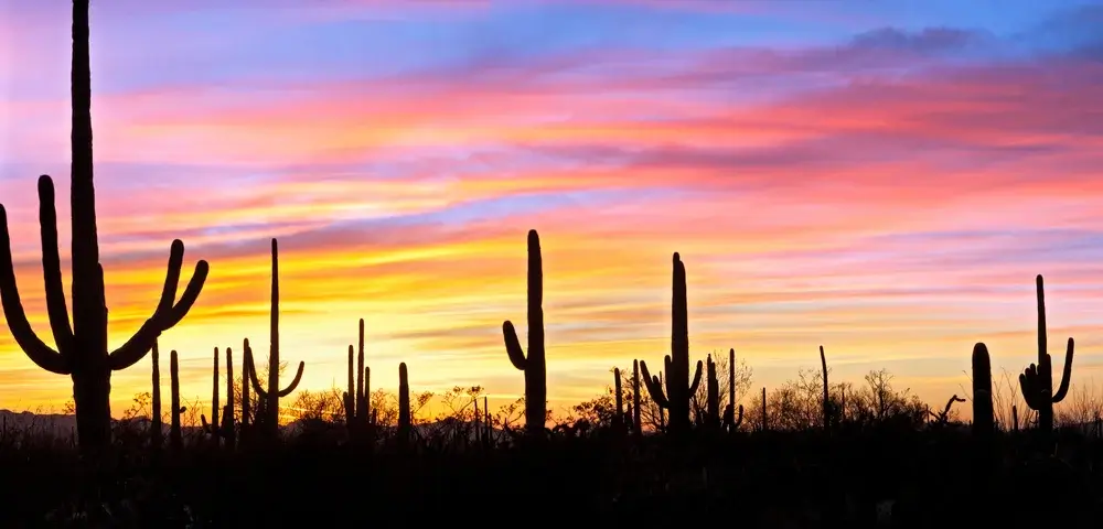 Phoenix, Sonoran Desert Arizona, Southwest USA Holiday