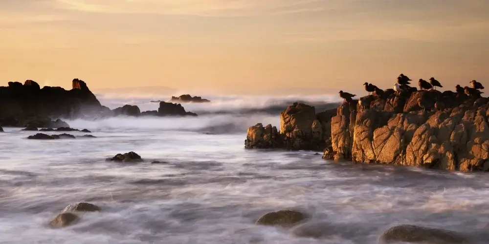 Point Lobos, California coast - best f the west, USA