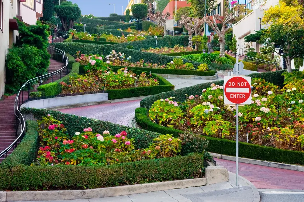 Lombard Street, San Francisco, California Coast, USA