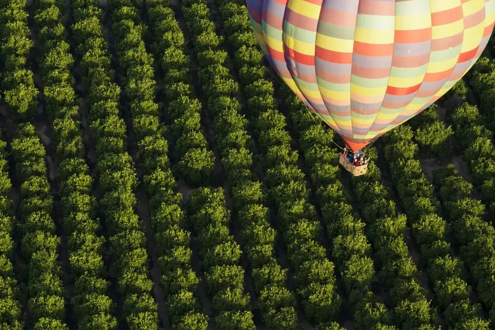 ot Air Balloon Ride over the Vineyards in Temecula, California