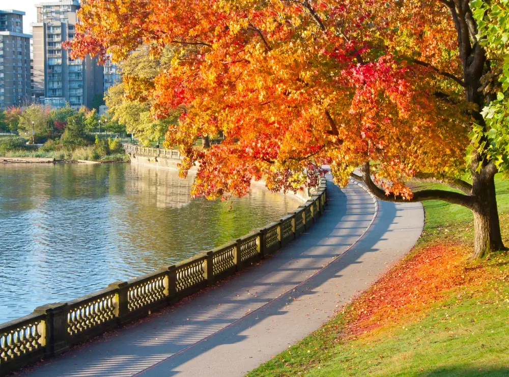 Vancouver, BC, Canada in autumn, Stanley Park