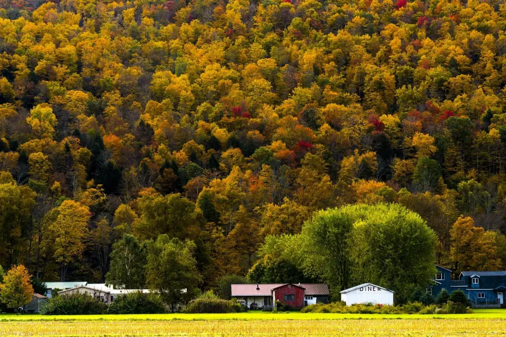 Autumn in Catskill New York USA, Best Places in the East