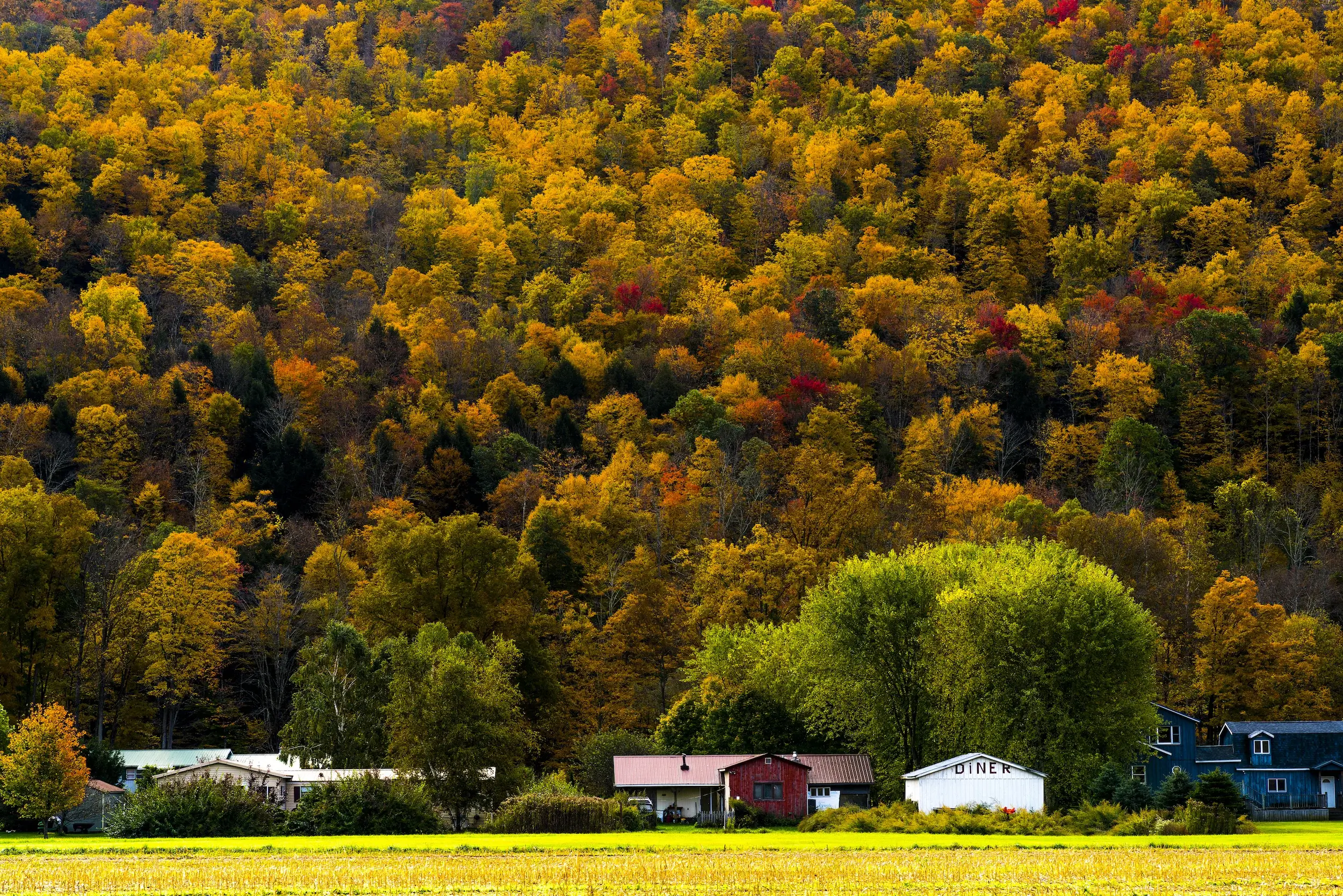 Autumn in Catskill New York USA
