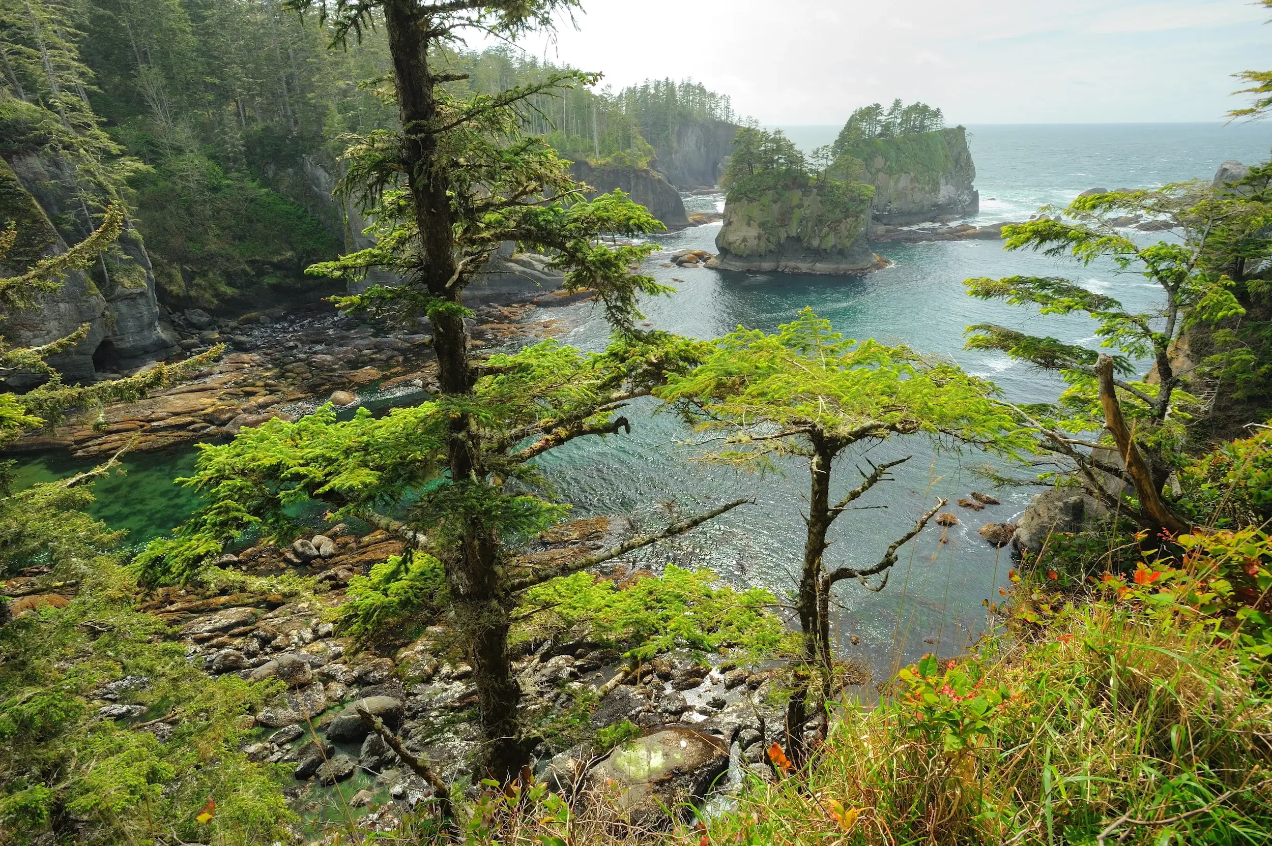 Cape flattery of olympic national park, washington, USA