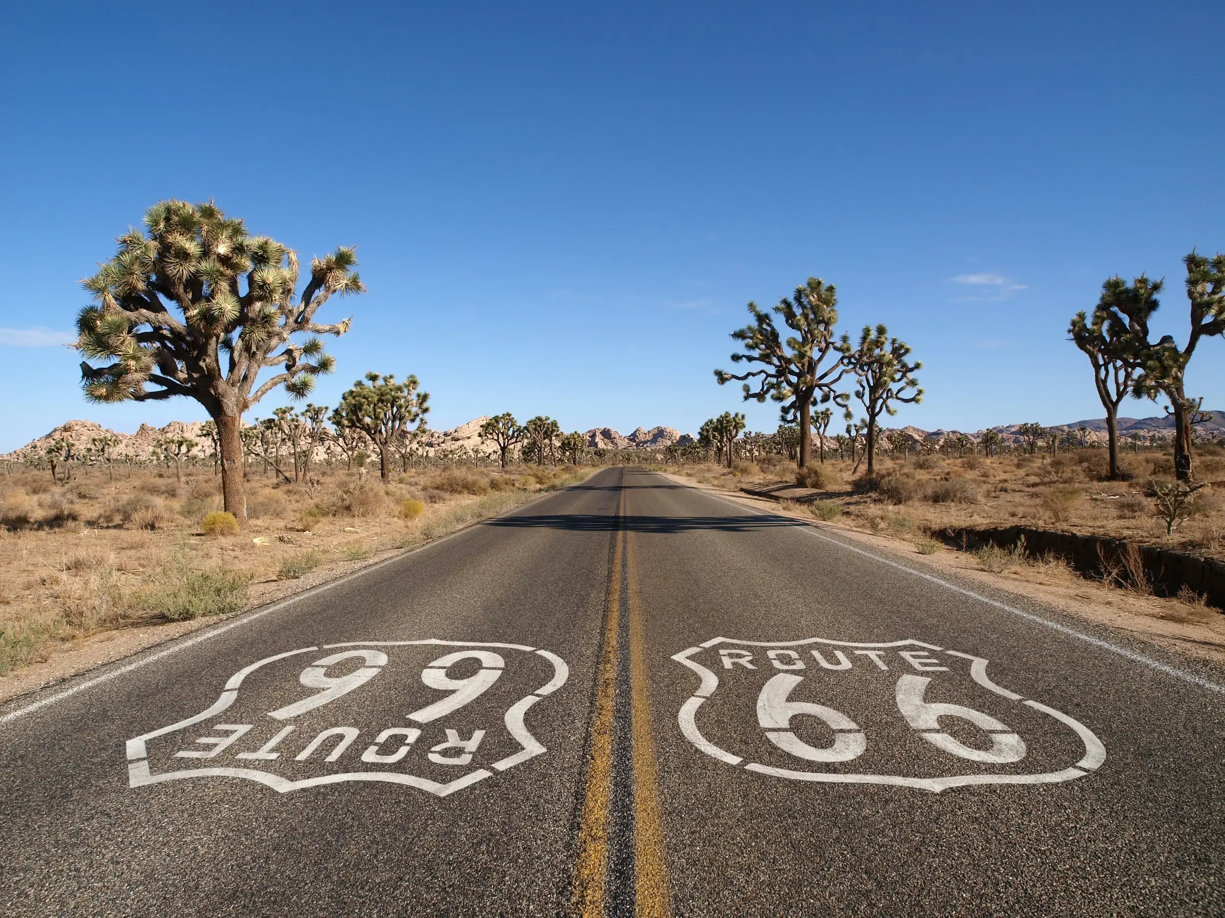 Route 66 with Joshua Trees deep inside California's Mojave Desert, California