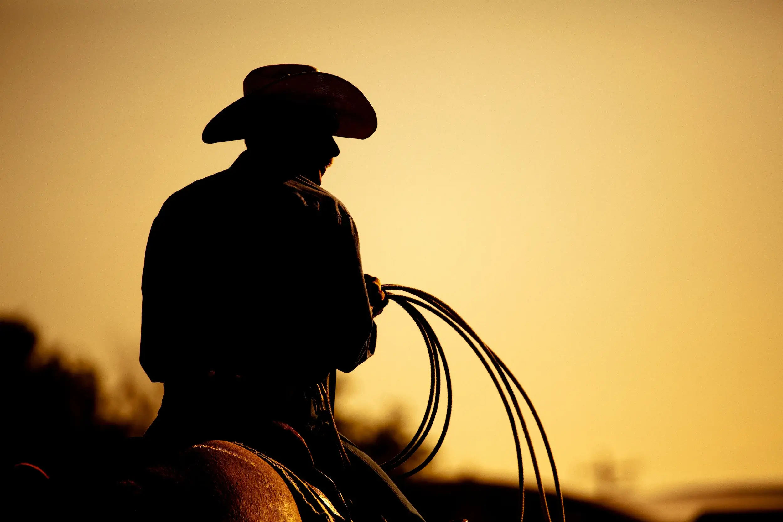 Texas Road Trip, USA Cowboy with lasso