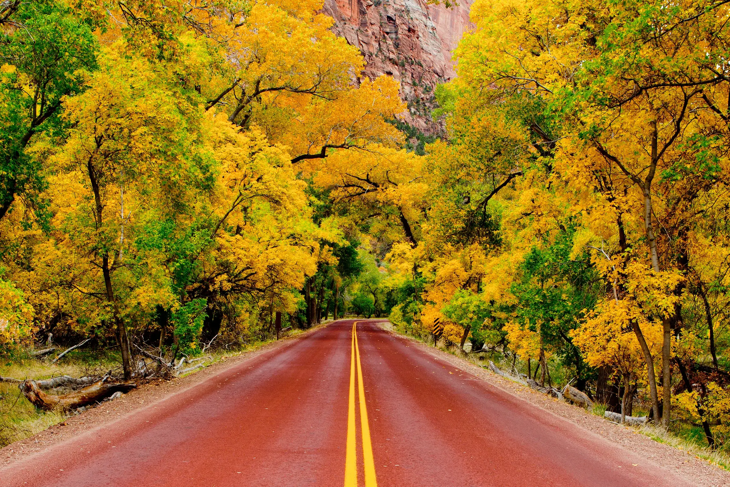 Zion National Park, Utah