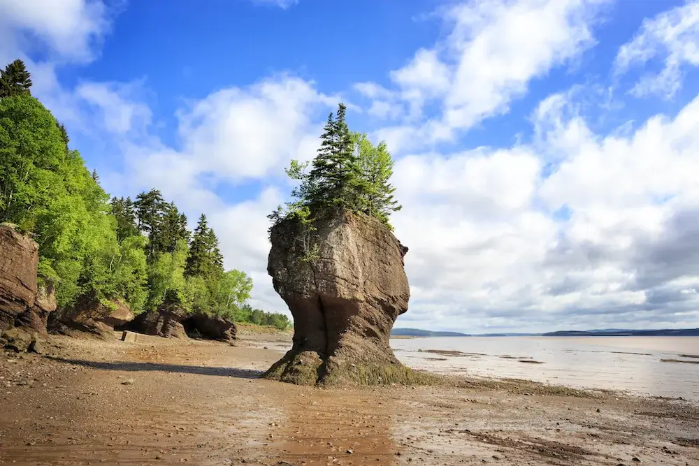 Hopewell Rocks Provincial Park, bay of Fundy, New Brunswick in Canada