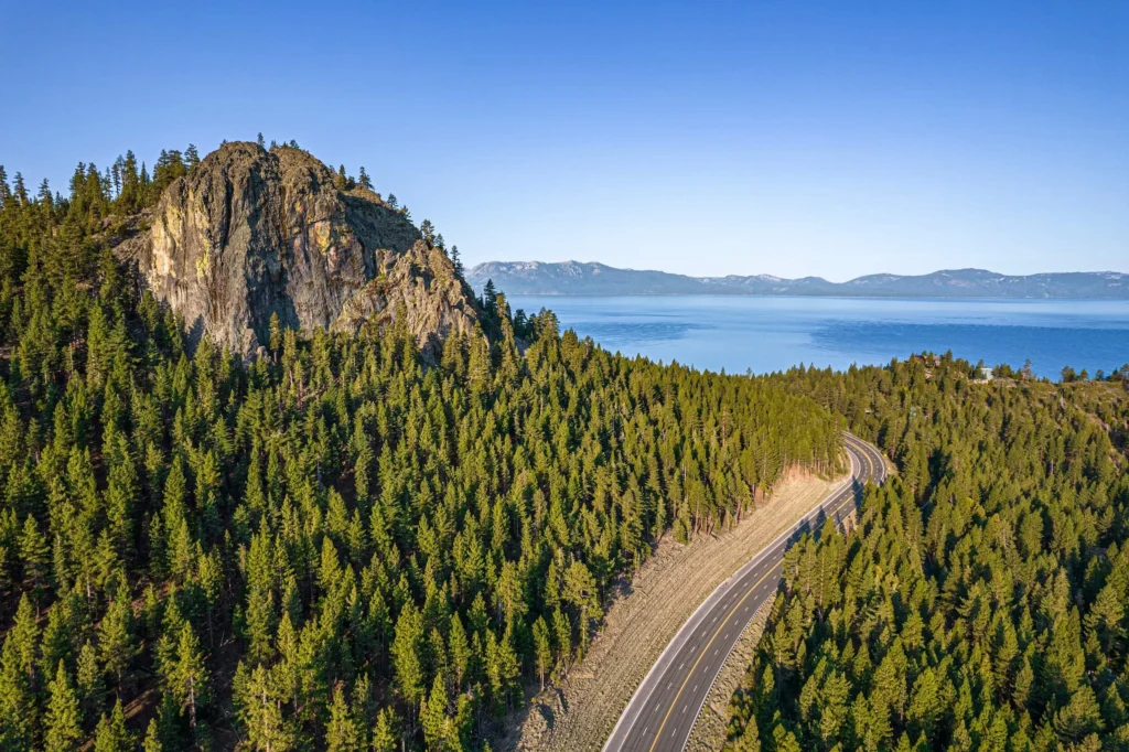 Road through trees in Lake Tahoe, California, USA